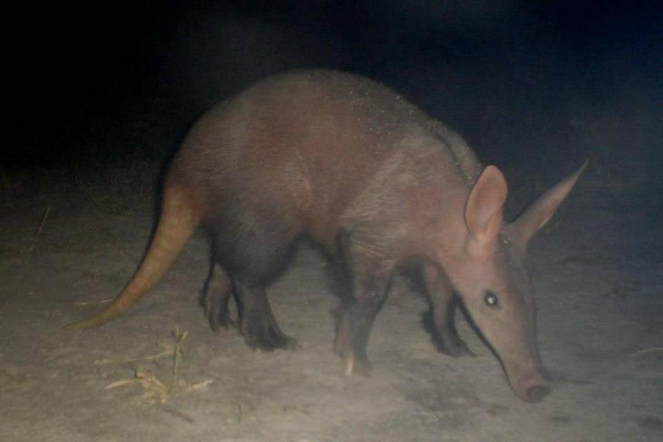 Thakadu Bush Camp Villa Ghanzi Luaran gambar